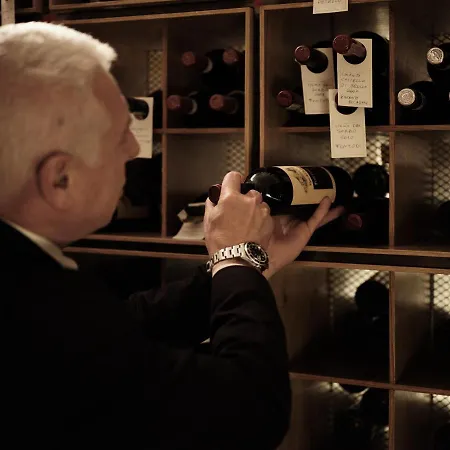 安久丽列里大酒店 维克艾库塞